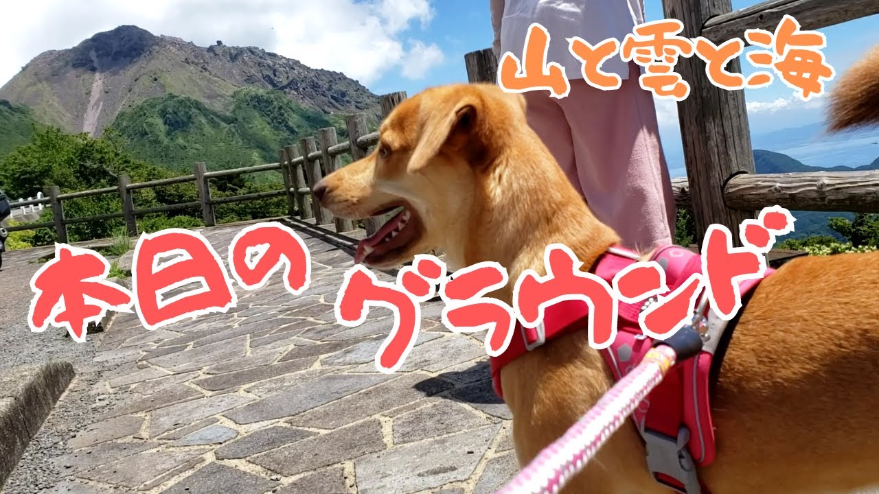 夏の気温に負けないで