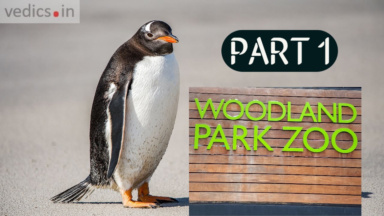 Woodland Park Zoo Seattle USA | Vlog part 1,wildlife conservation organization and zoological garden