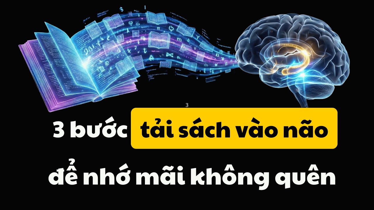 3 Bước Tải Sách Vào Não Để Không Thể Quên Những Gì Đã Đọc (bí quyết sinh viên trường Top 1)