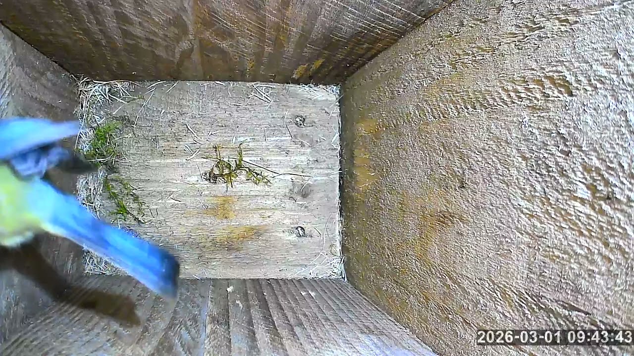 Video from 2026 03 01