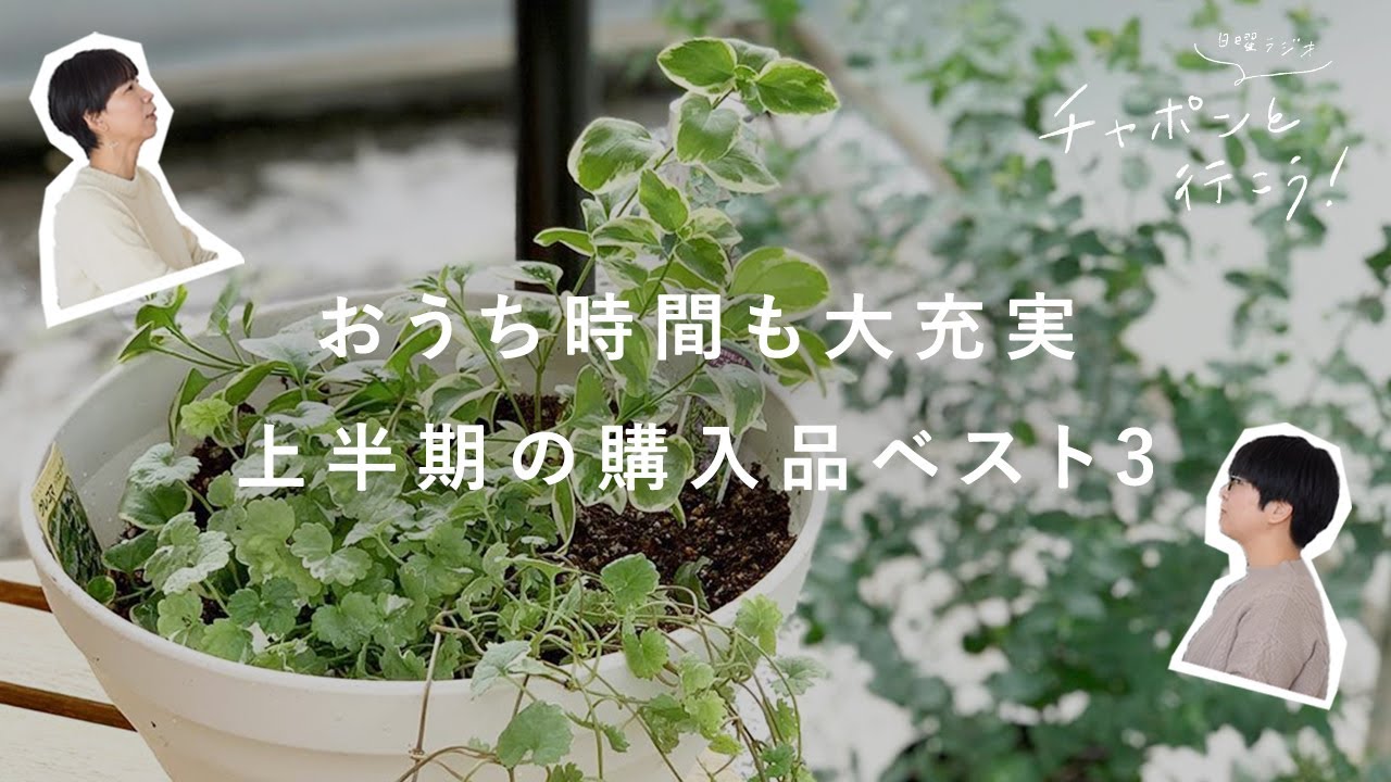 おうち時間も充実！2020年上半期購入品ランキング【湯あがりチャンネル】第64夜　ラジオ / 暮らし / お買い物 / ベスト3