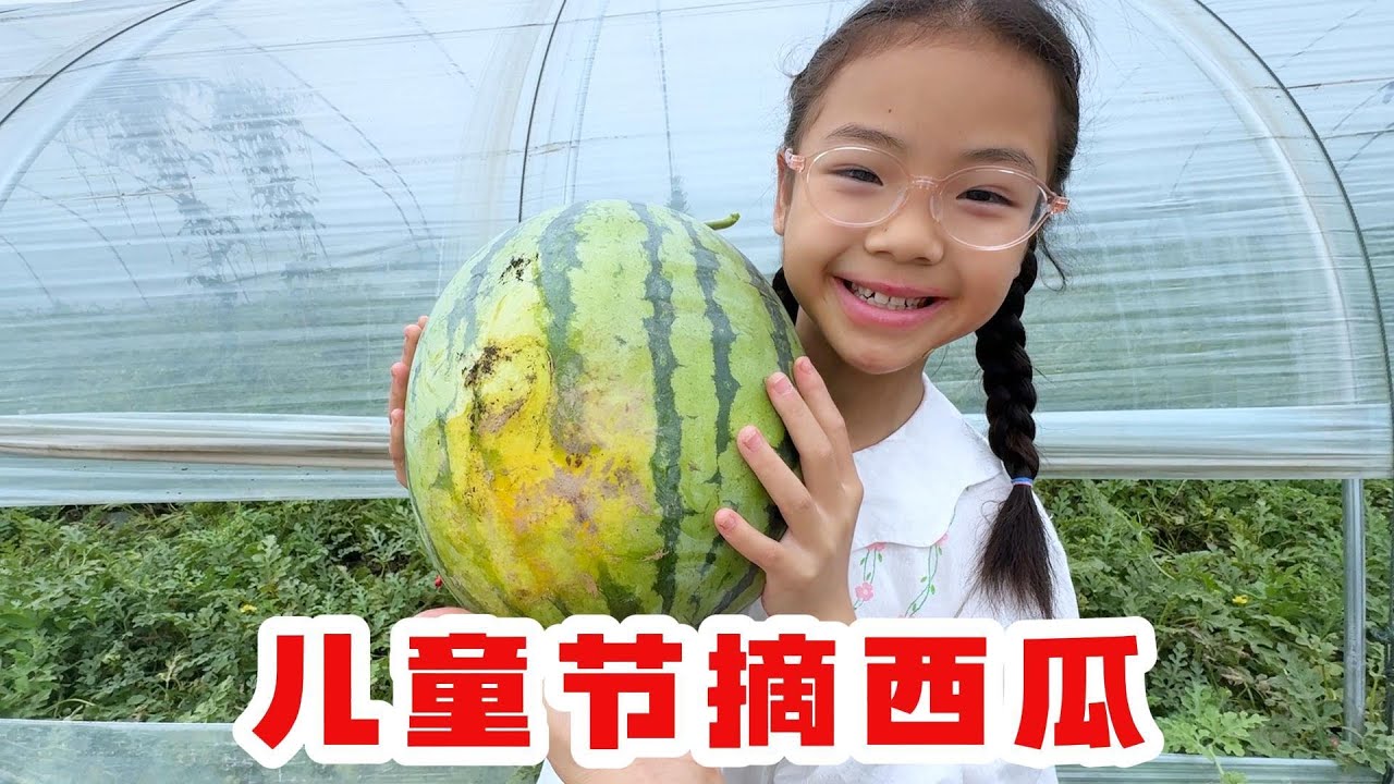 儿童节带着5个小朋友去西瓜地摘巨大西瓜