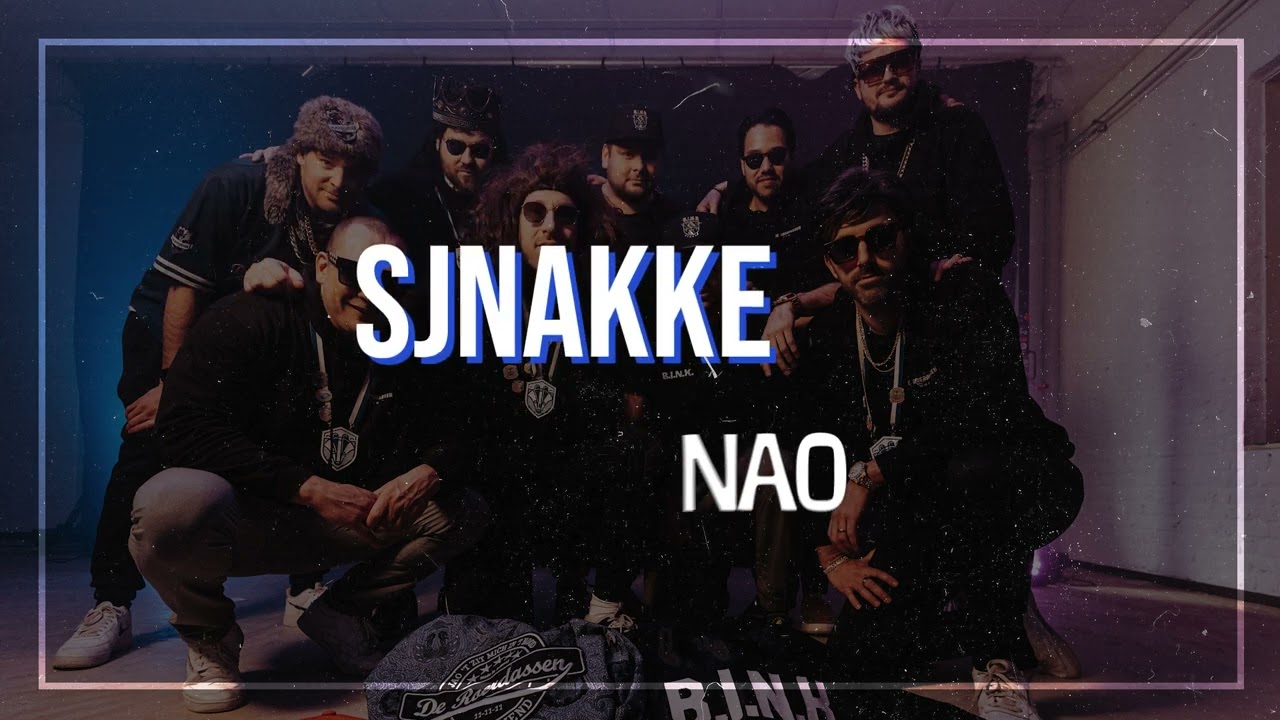 De Roerdassen ft. B.I.N.K. - Sjnakke Nao