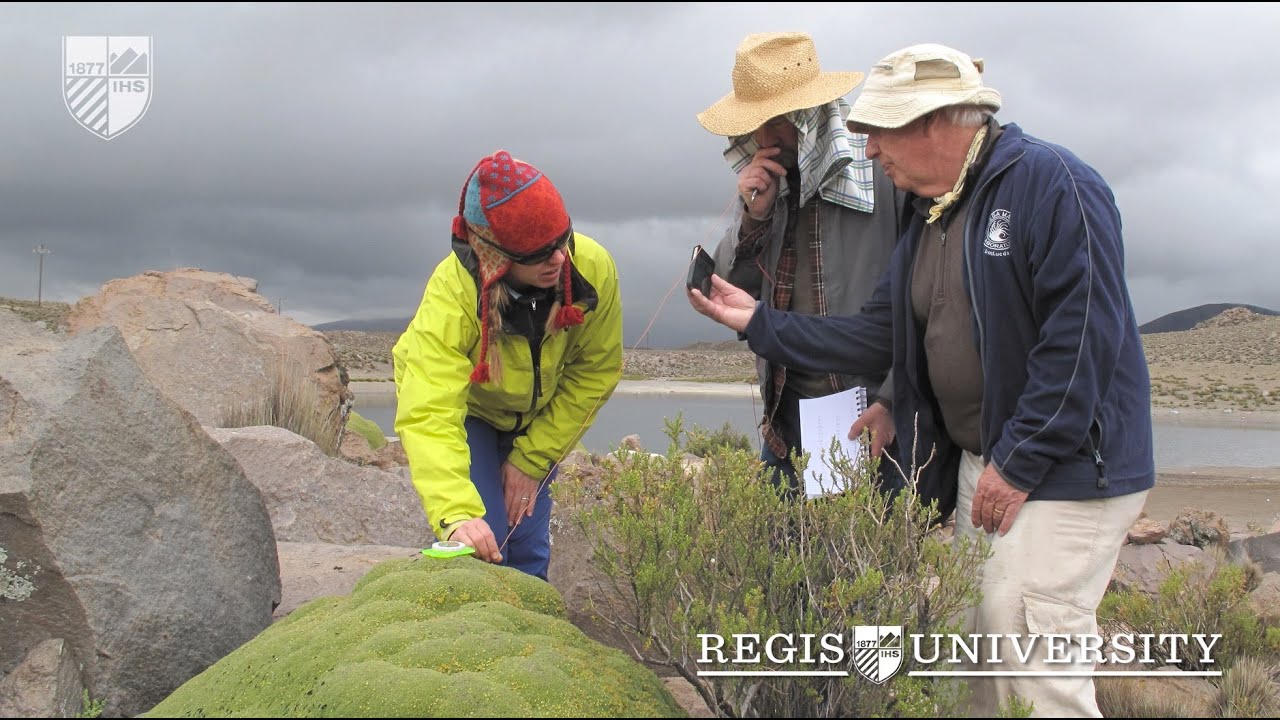 Regis University | With Honors - Cath Kleier