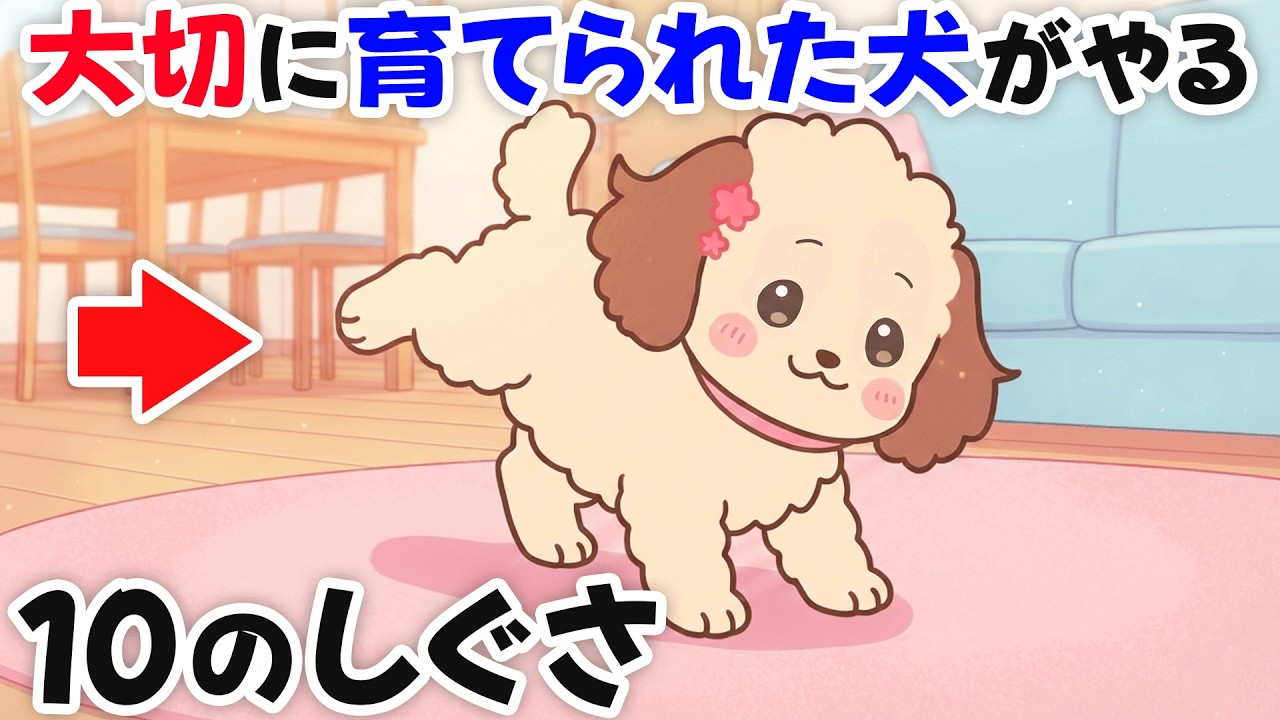 【気づいて!!】大切に育てられた犬がする意外な仕草10選｜犬雑学