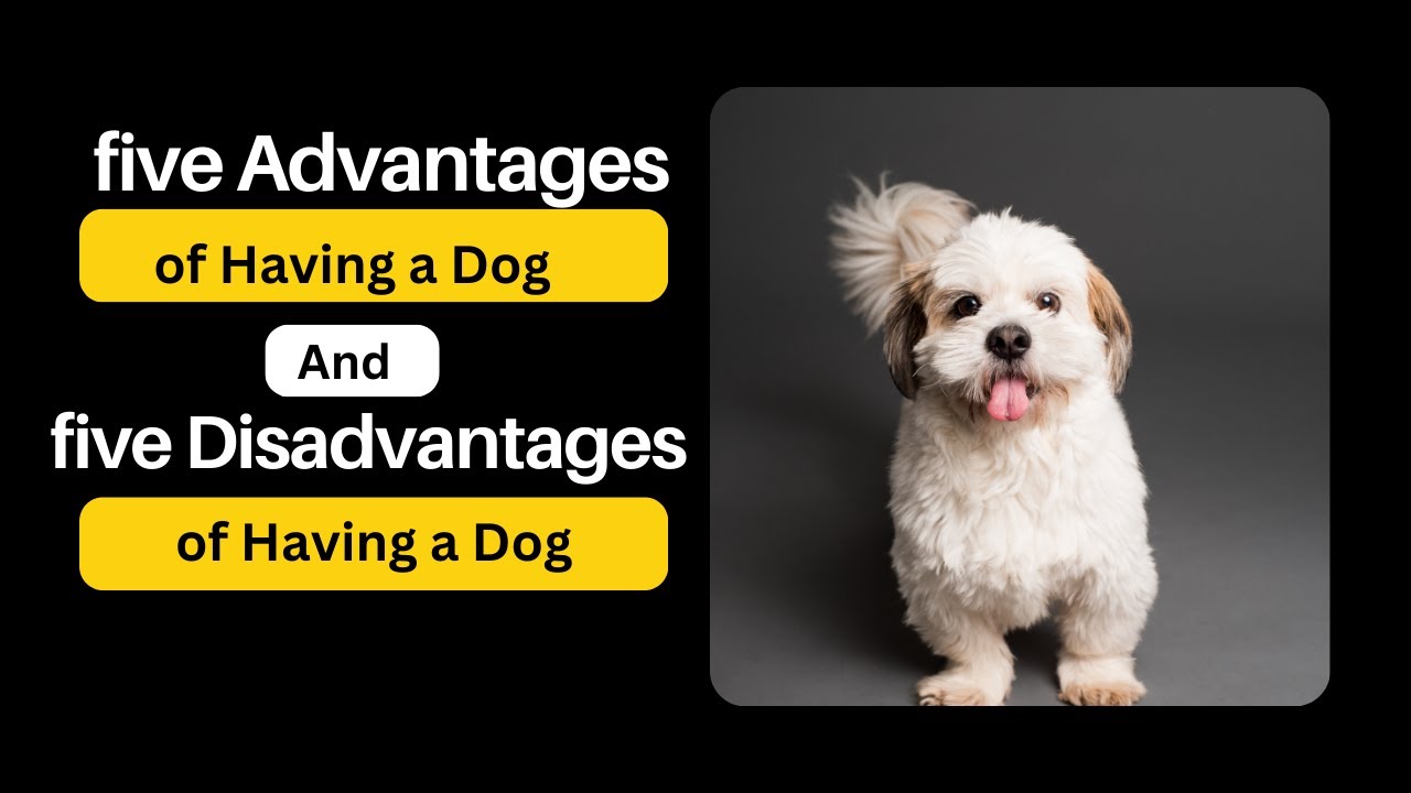 five Advantages of Having a Dog And Disadvantages of Having a Dog