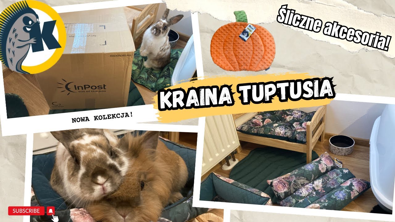 OTWIERAMY PACZKĘ OD KRAINY TUPTUSIA