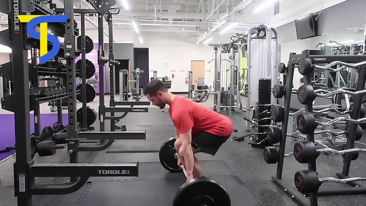 Barbell Deadlift TS
