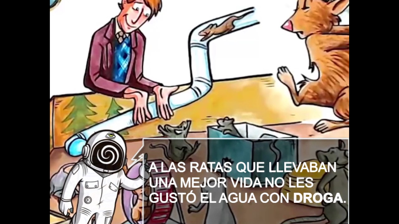 Experimento de las ratas y la adicción a las drogas