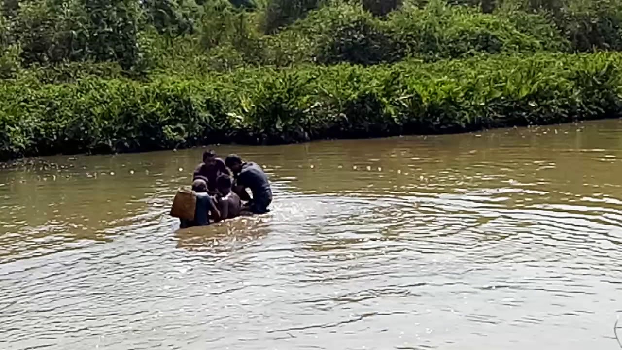 Big fish caught in Moira manas Bardez Goa 2018