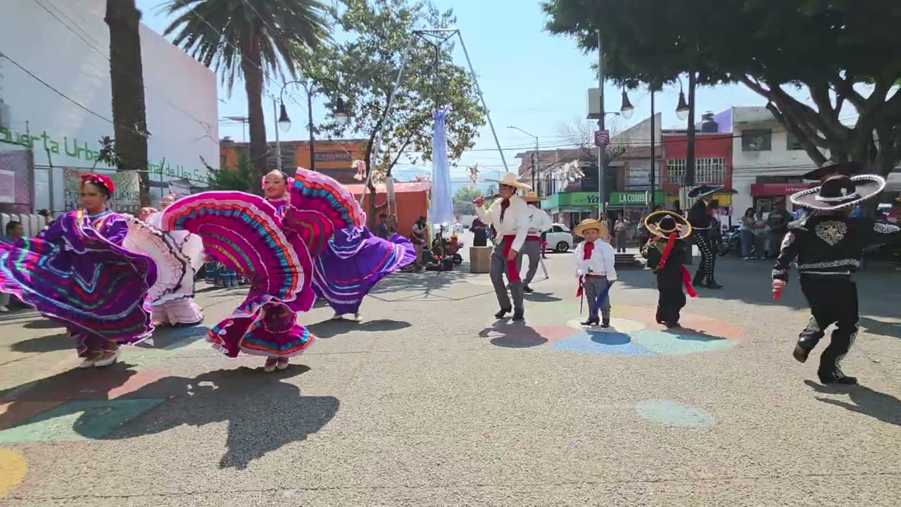 San Pedro Mártir 15 de febrero 2026