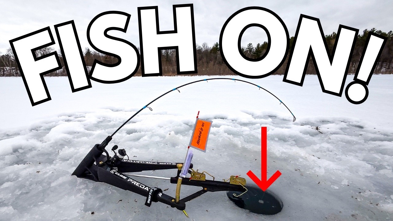 STOP Missing Fish On Automatic Hook Setters! (Why Your Setup Isn't Working)