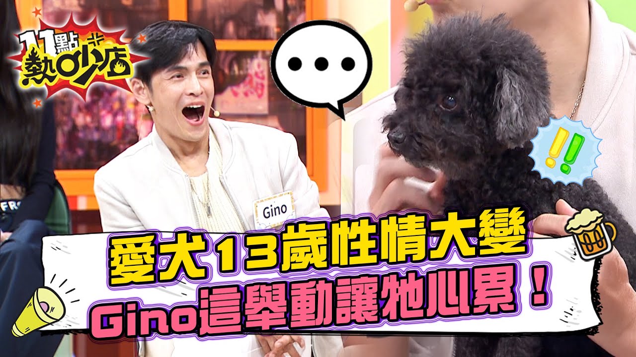 Gino愛犬13歲突性情大變不理人？溝通師一語道破「這舉動」讓牠心累！徐新洋遭愛犬記仇「拒絕親親」真相超尷尬！#11點熱吵店 20260108 拆條精華篇｜#Gino #陳華 #娜亞 #徐新洋