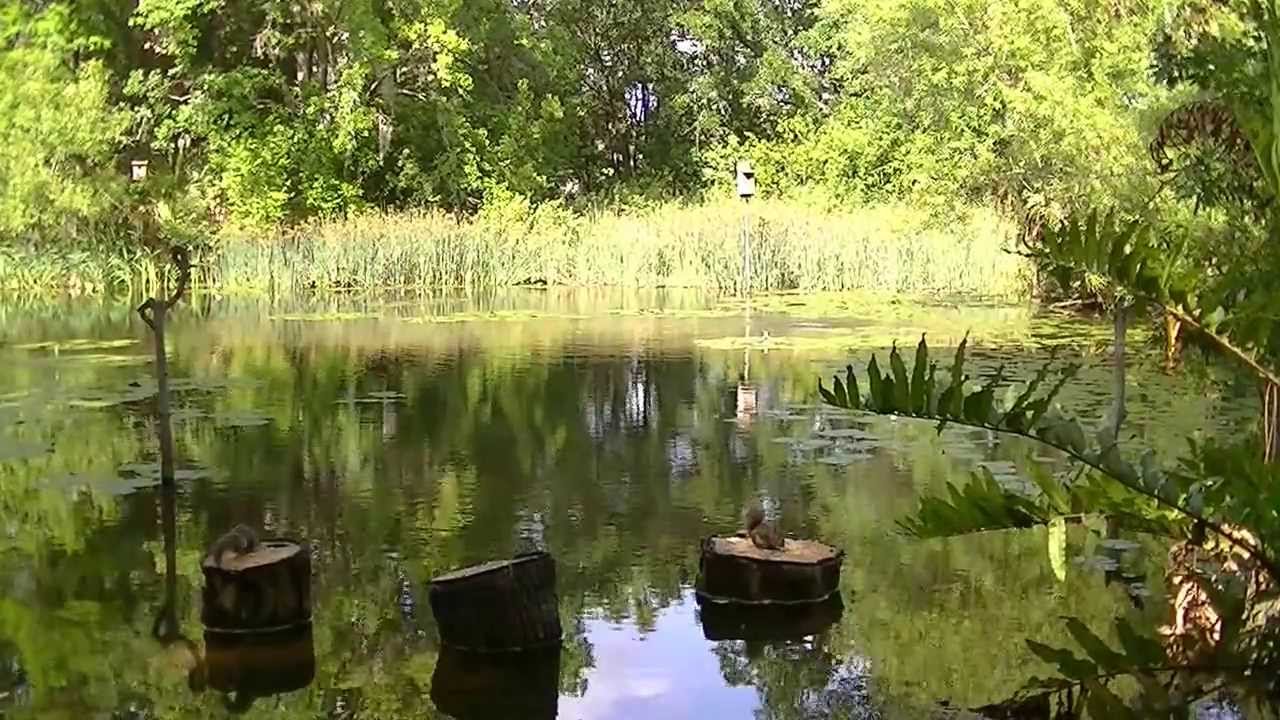 4/8/2013 Bok Tower Video 1 Lake Wales FL
