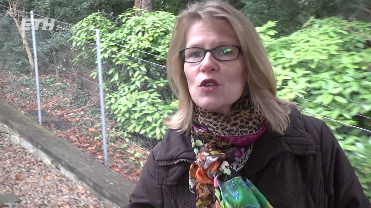 Polybahn Pitch: Helma Wennemers, Professor for Organic Chemistry at ETH Zurich