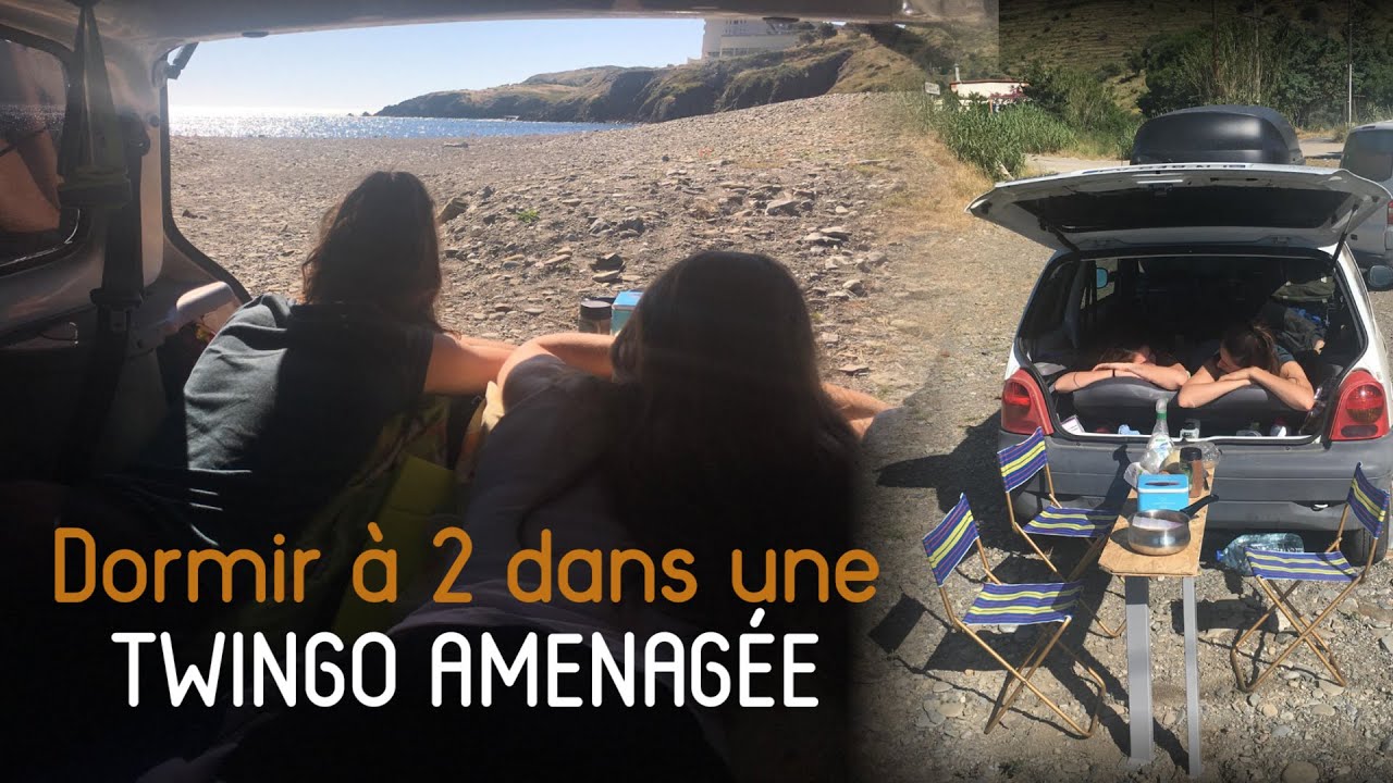 TWINGO aménagée 