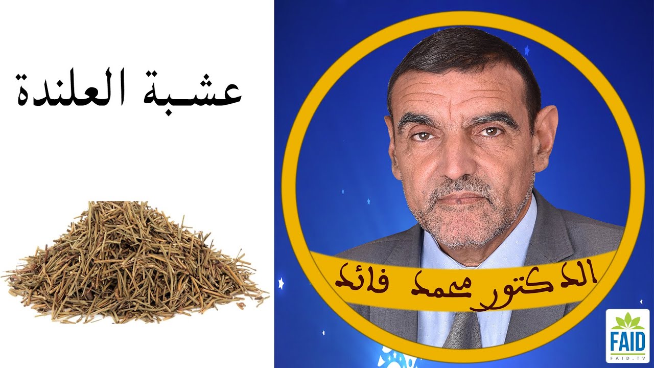 عشبة العلندة واستعمالاتها | الدكتور الفايد