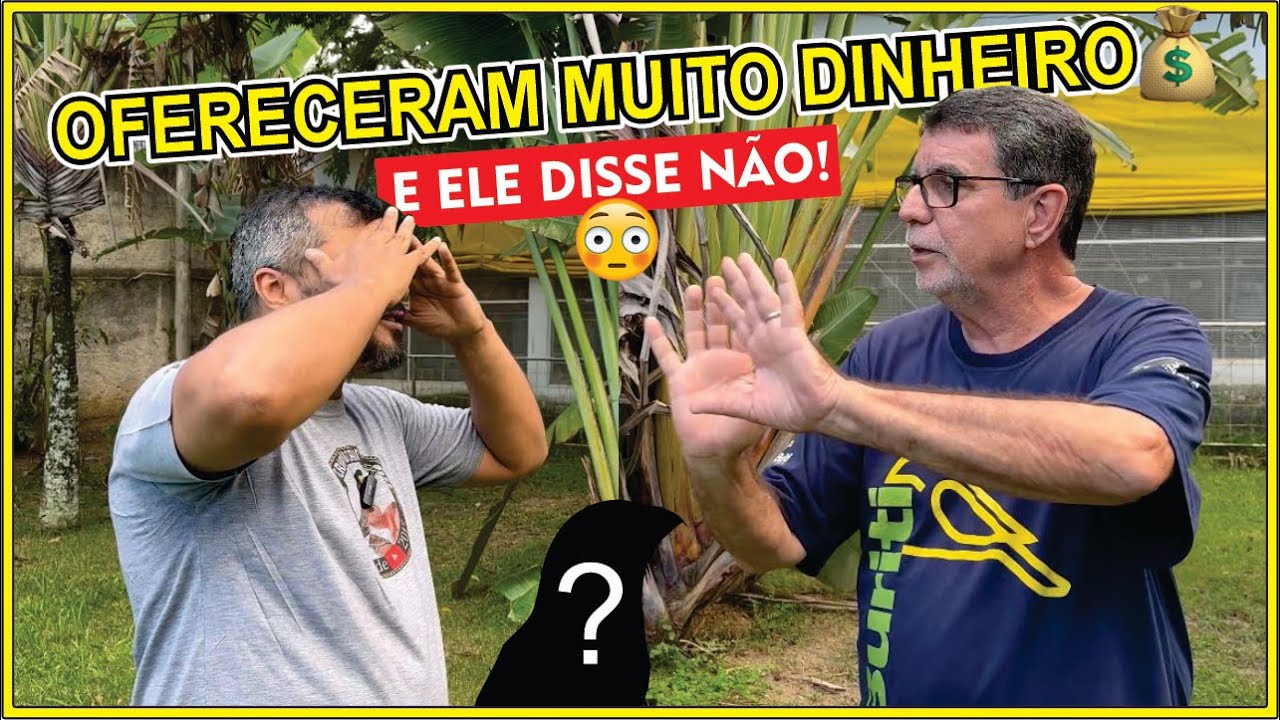 🤔 Quanto vale o HORUS do Buriti? Você não vai acreditar!