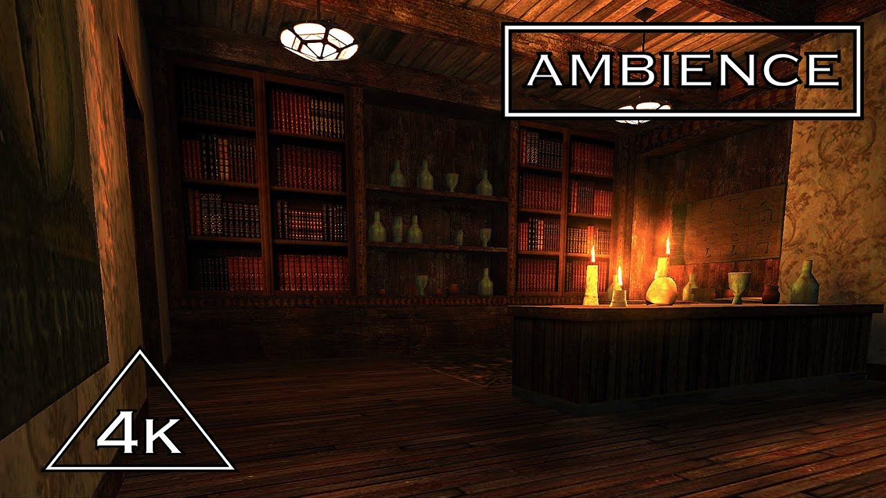 Dark Academia - (Return to Castle Wolfenstein) - Game ambience 4 work, sleep & study