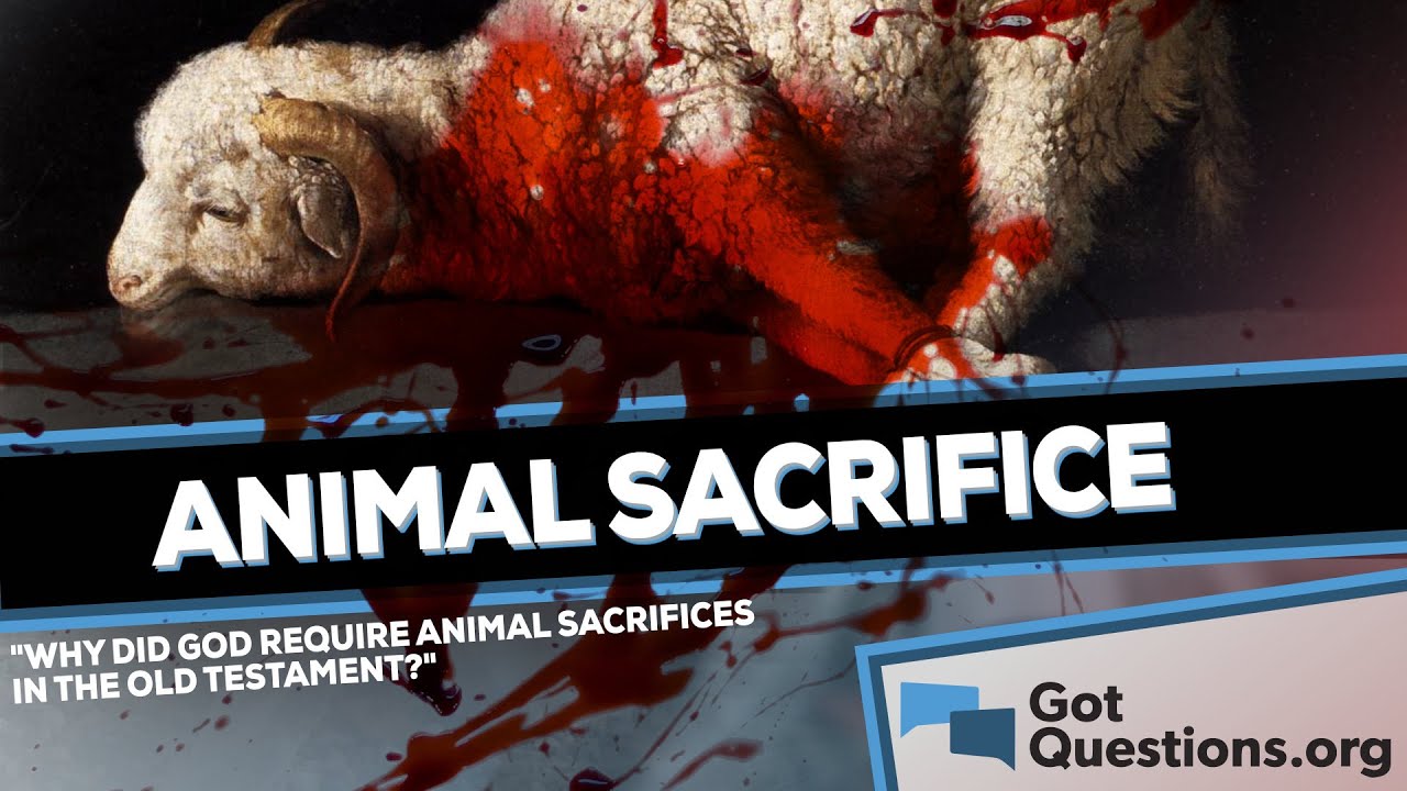 Why did God require animal sacrifices in the Old Testament?  |  GotQuestions.org
