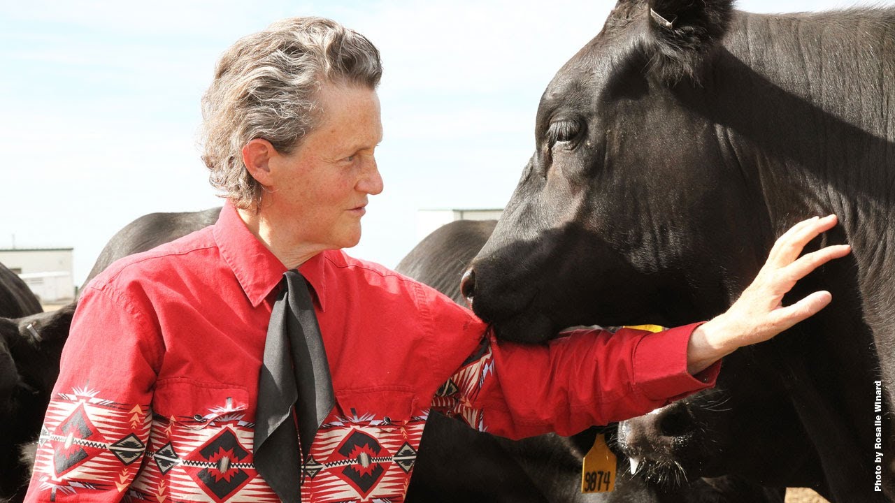 A Celebration of Dr. Temple Grandin