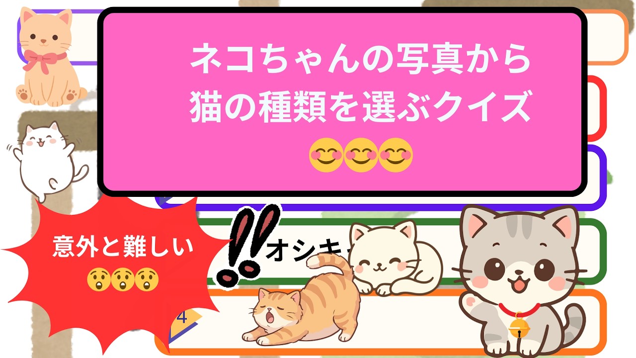 【脳トレ高齢者クイズ２０】猫ちゃんの写真当てクイズ　ニャンちゃんの写真を見て猫の種類を当てよう！😸😸😸