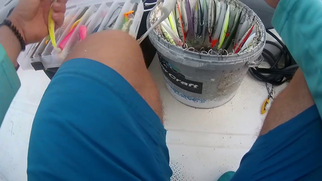 Havada uçan lüfer, fiiish black minnow 40gr ile kofana avı