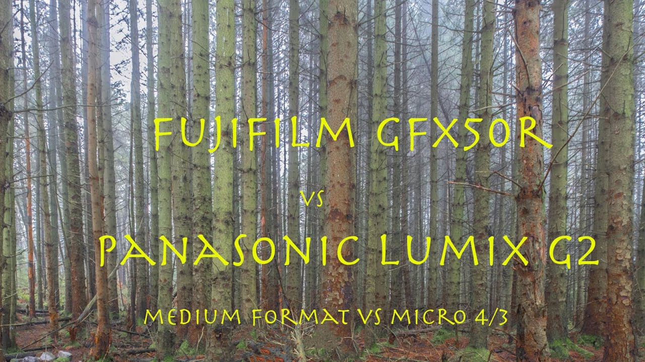 Woodland Photography with the Fujifilm GFX50R & Panasonic Lumix G2