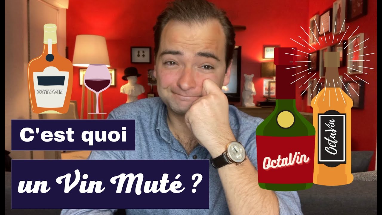 C'est quoi un vin muté ? 🤨