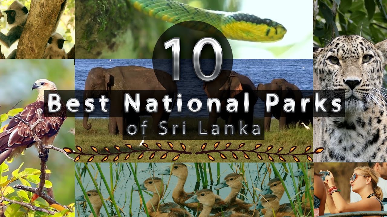 10 Best National Parks | Sri Lanka