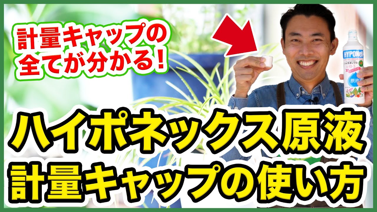 【園芸の基本】ハイポネックス原液の薄め方のコツを徹底解説！〜公式がおすすめする計量方法をご紹介！～【園芸塾】【ハイポネックス】