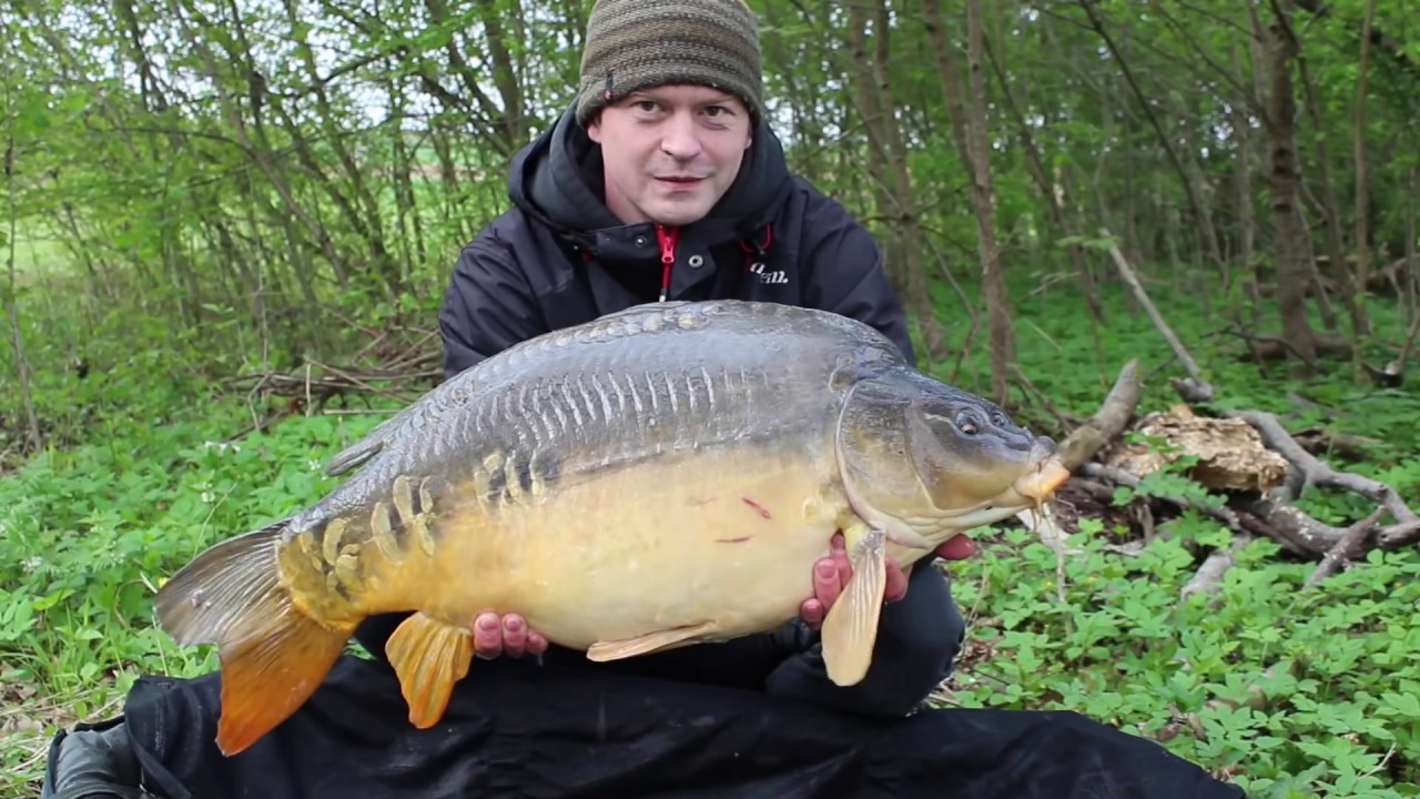 Karpfenangeln im Frühjahr (Ostern) | wr fishing