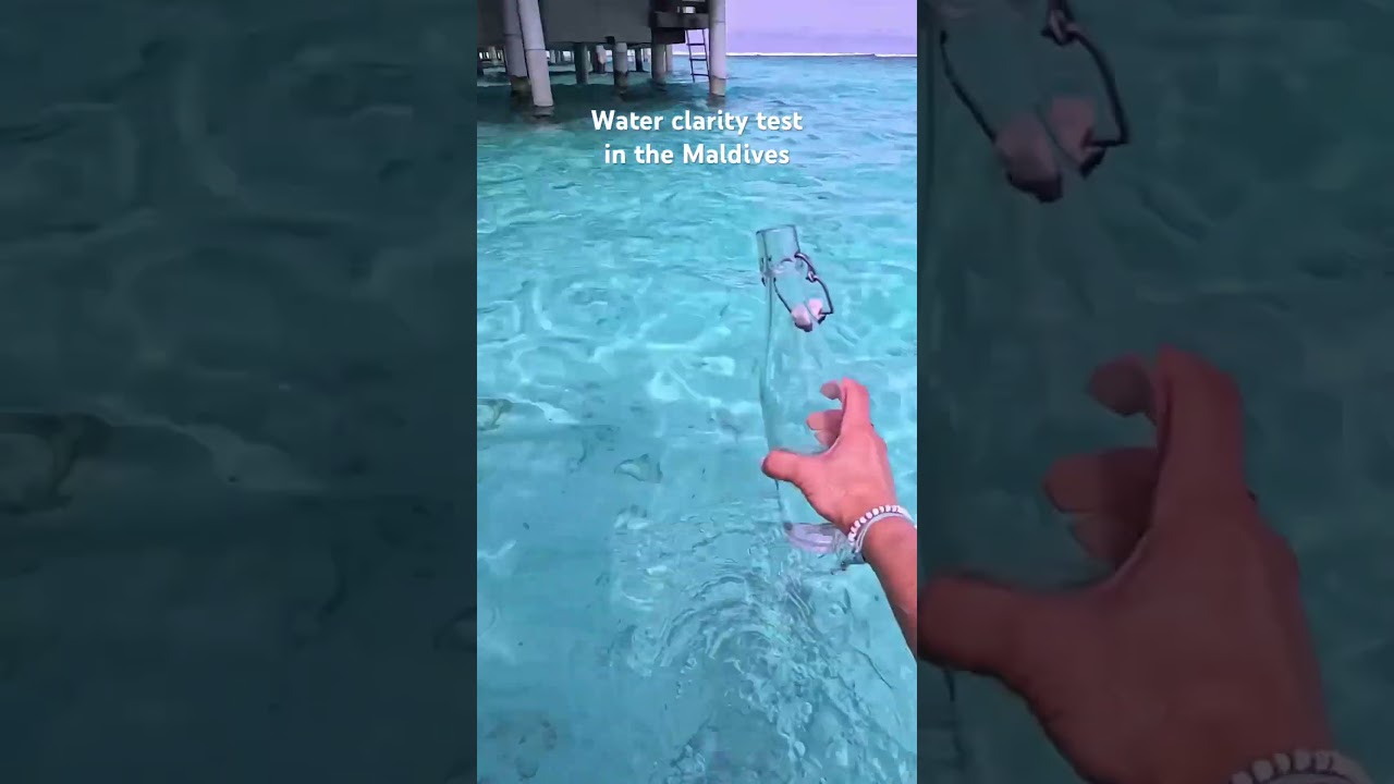 Is this the clearest water in the world? 😍 #themaldives #maldives