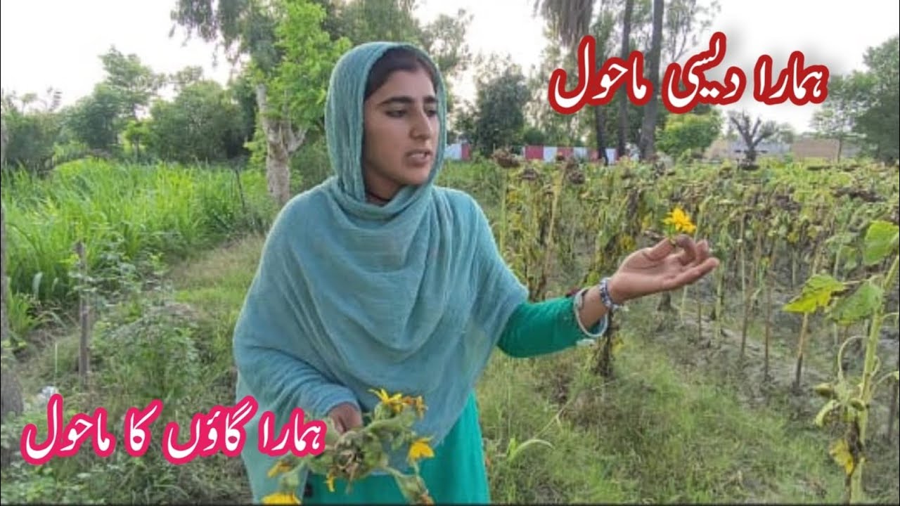 hamara desi mahaul hamara gaon ka mahaul 🪴 Ayesha Shahid vlogs