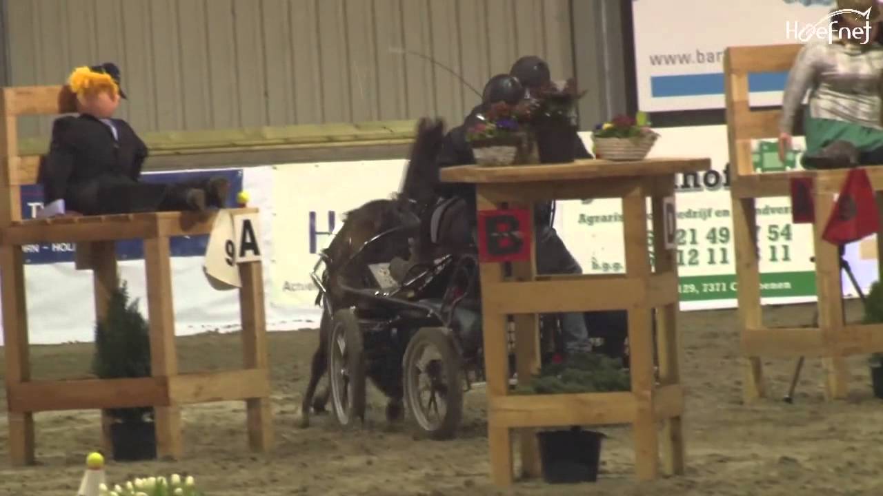 Enkelspan pony Finale Voskamp Bokaal 2014