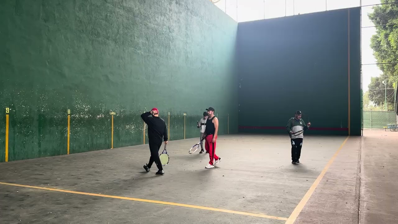 🟣