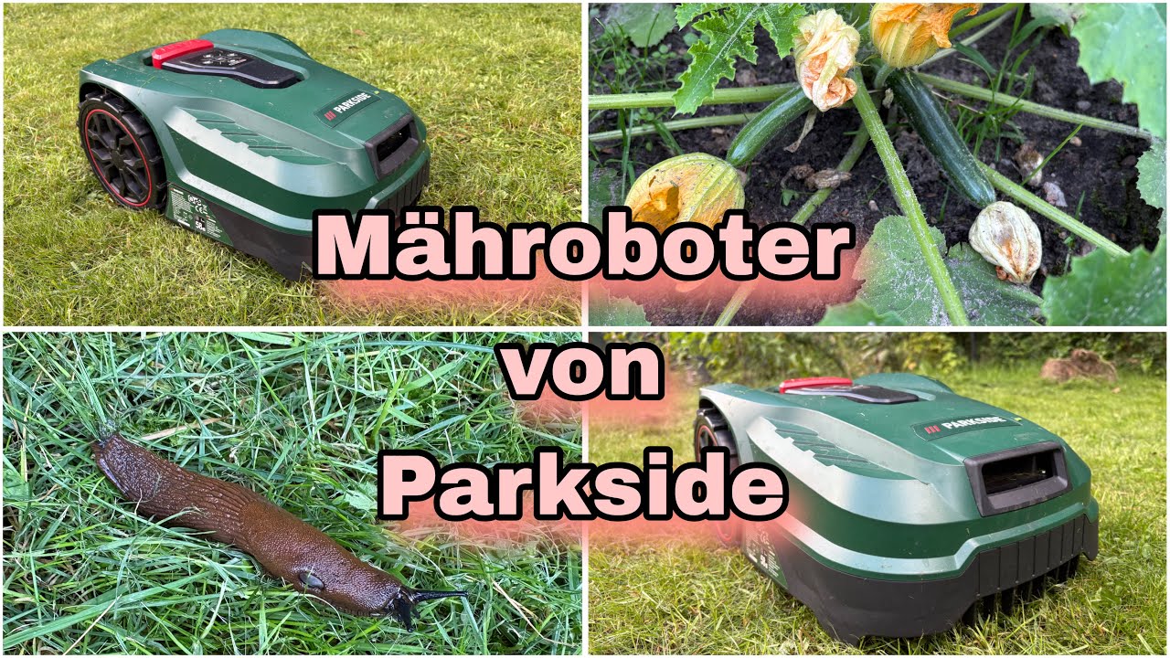 Mähroboter von Parkside || Hohes Gras schafft er das? 