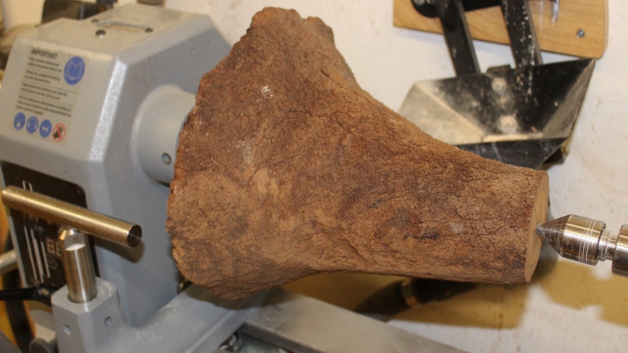 Woodturning - A Dinosaur Foot ( grasstree root )