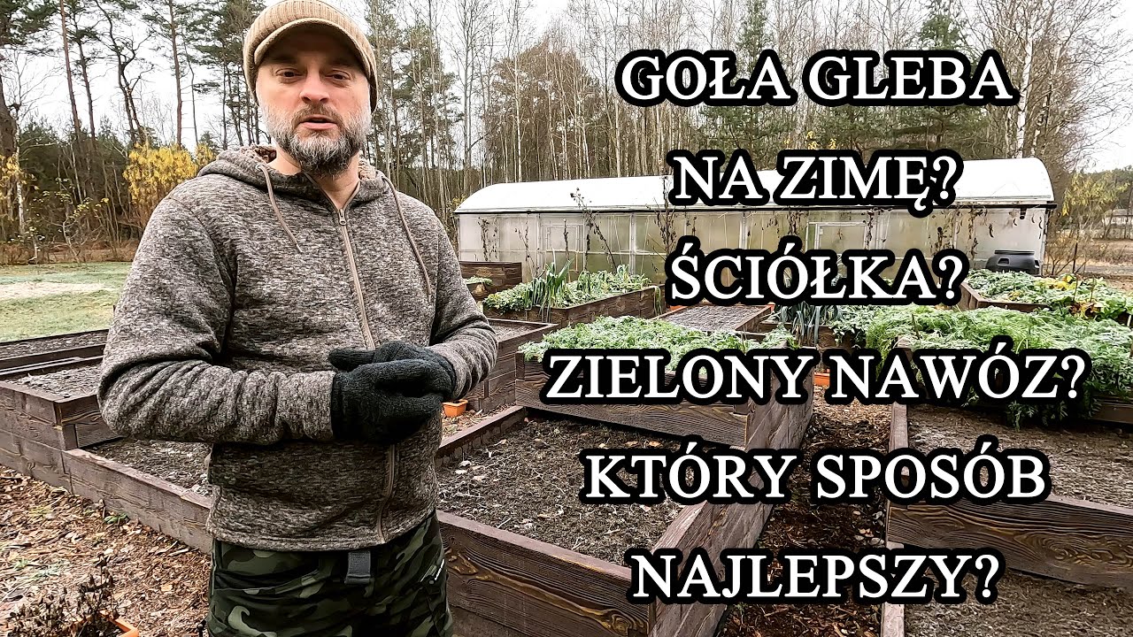 Goła gleba na zimę? Ściółkować? Wysiewać zielony nawóz? Czy istnieje najlepszy sposób?