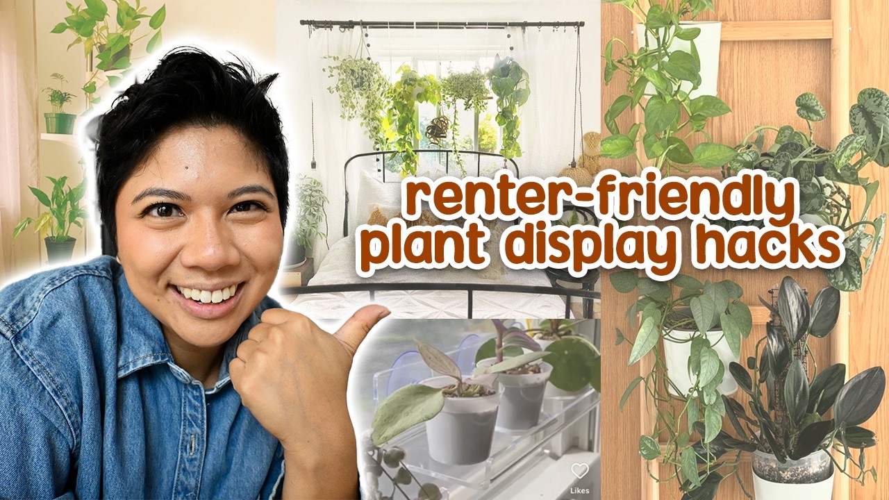 No drills. No holes. Space-saving. Renter-friendly hanging plant hacks.