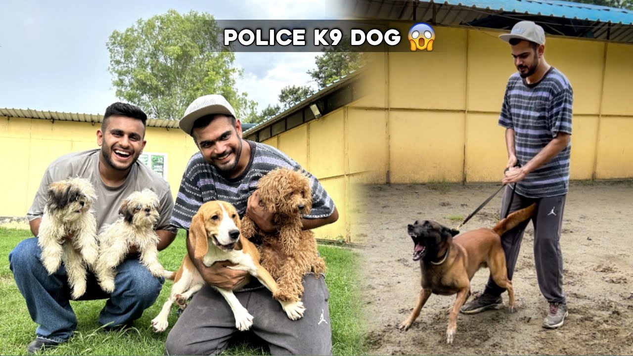 India’s Biggest K9 Dog Training Academy in Delhi 😱