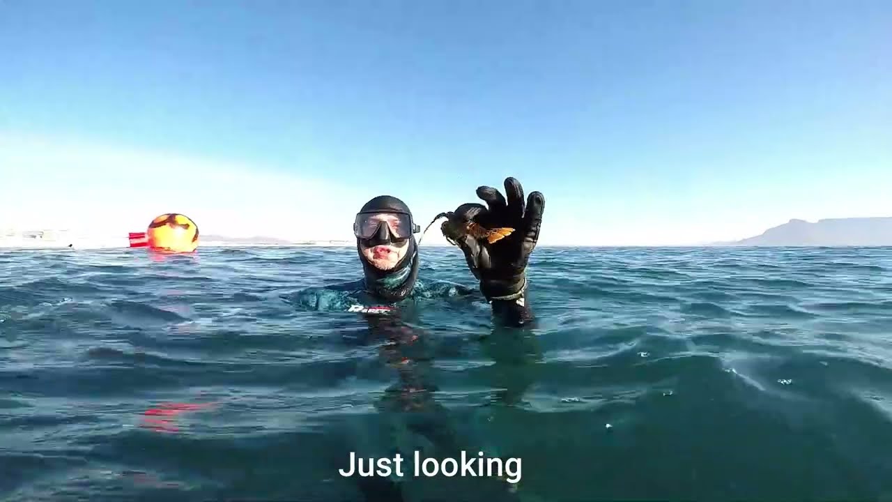Diving the Seli 1 shipwreck in Blouberg