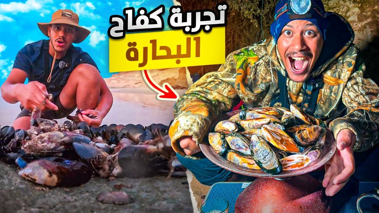 كفاح البحارة : عشت 48 ساعة من التحدي والبقاء في الصحراء المغربية🇲🇦وتجربة جمع فواكه البحر🦞