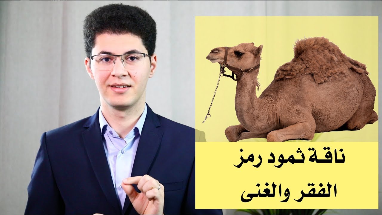 هل ناقة ثمود لها علاقة بفقرك أو بكثرة أموالك ؟ أمين صبري