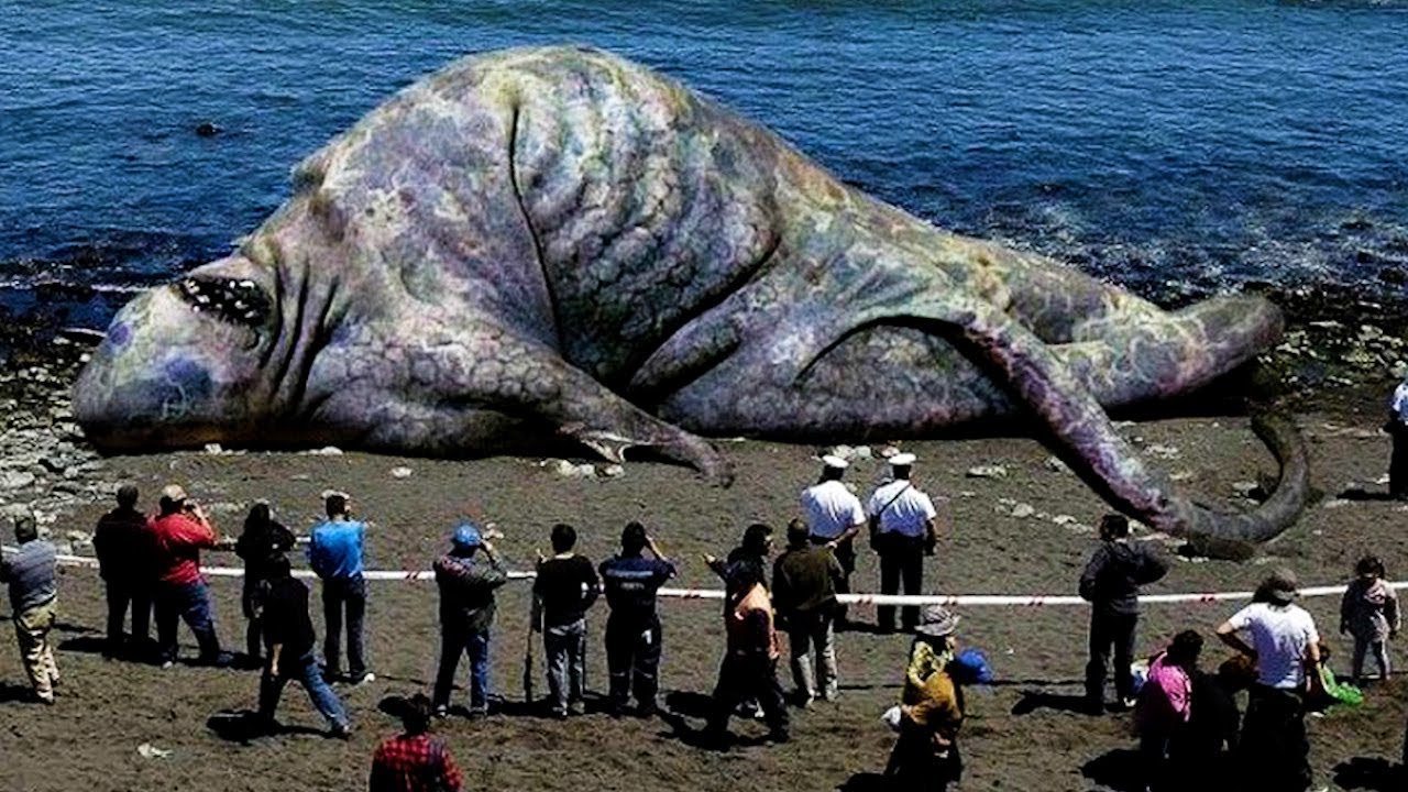 Insane Beach Moments You Wouldn&rsquo;t Believe Exist