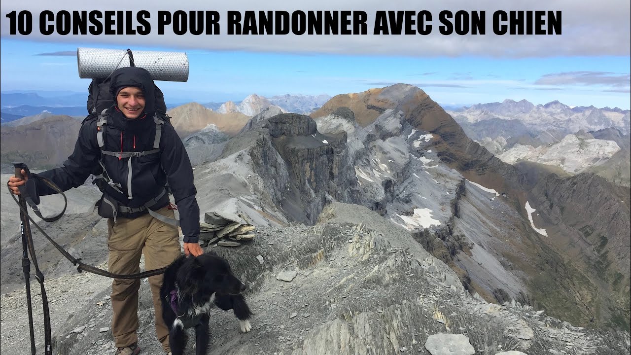 10 CONSEILS POUR RANDONNER AVEC SON CHIEN - CANIRANDO