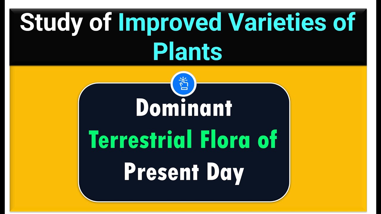What is the Study of Improved Varieties of Plants? | Dominant Terrestrial Flora of Present Day