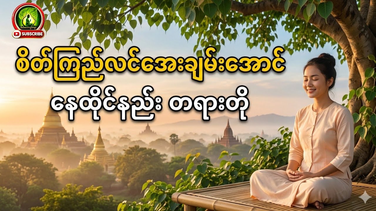 စိတ်ကြည်လင်အောင်ပြုလုပ်ရမည့်အခြေခံအဆင့် #ပါချုပ်ဆရာတော် #စိတ်အေးချမ်းရာ #buddha #tayartaw #follower 