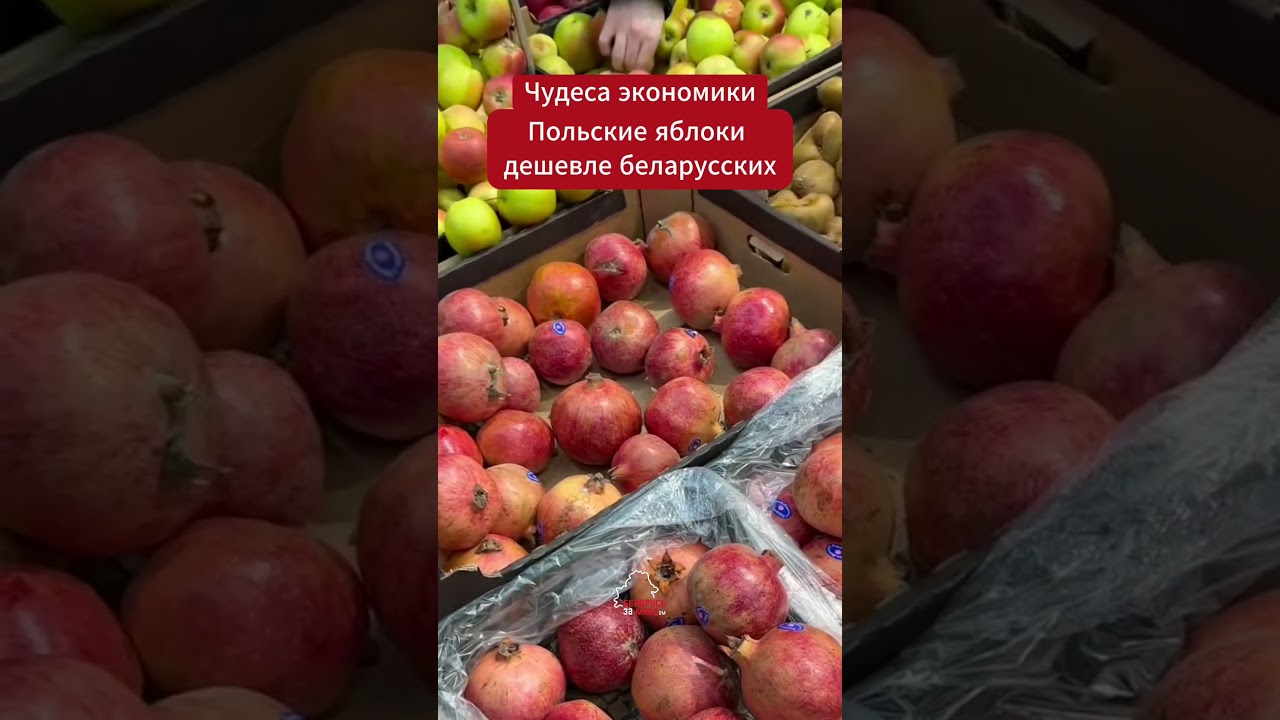🍏 😳 A consumer asks: Why are Polish apples cheaper than Belarusian ones?