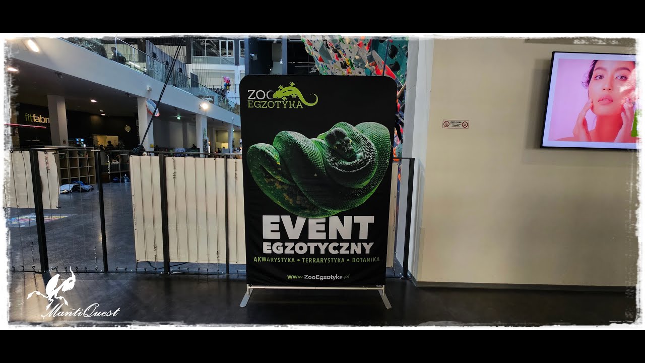 ZooEgzotyka Łódź 13.04.2025r Zatoka Sportu i spotkanie z Wojtkiem z Venomus Art.